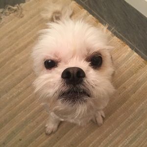 Meet your Posher, Brett